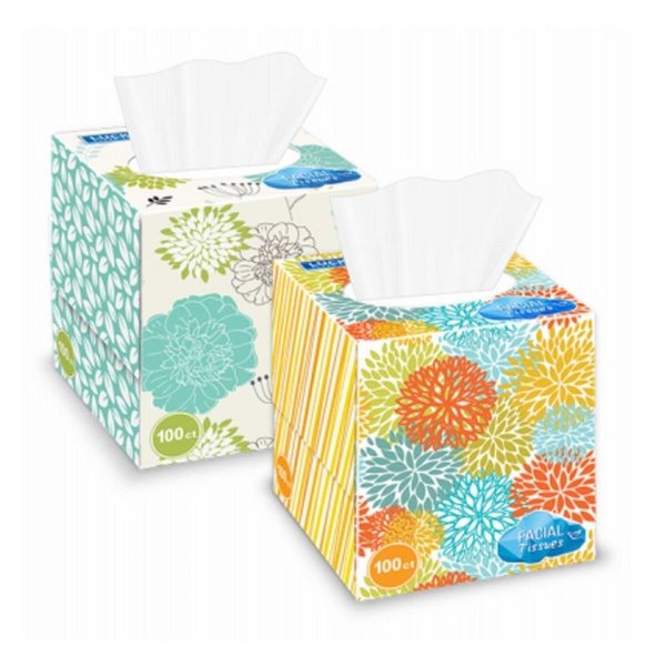 Delta Super Soft Facial Tissues in Cube Box - 100 Count 269149